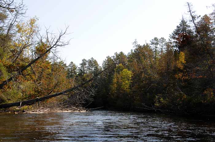 September on the Au Sable 42