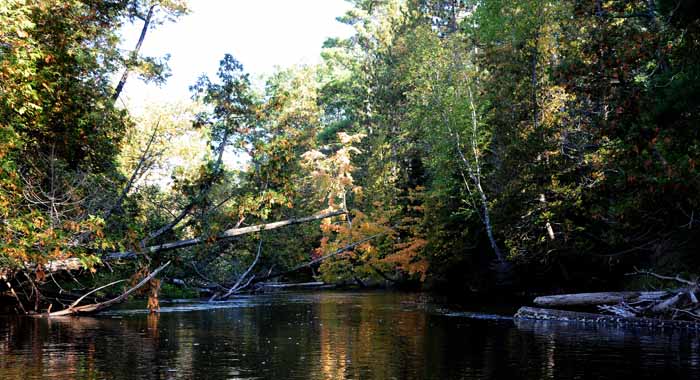 September on the Au Sable 43