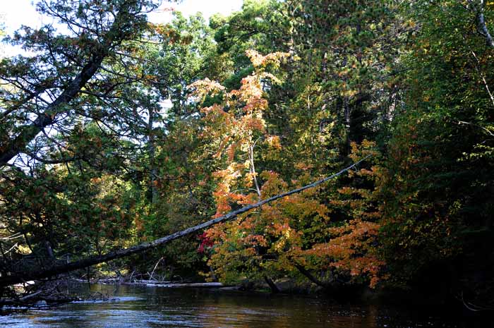 September on the Au Sable 44