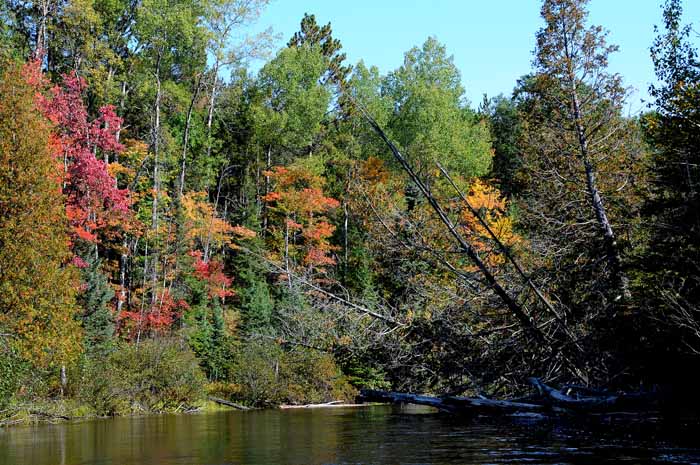 September on the Au Sable 48