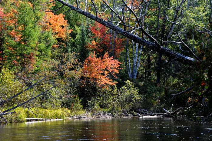 September on the Au Sable 49