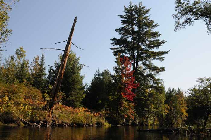 September on the Au Sable 50