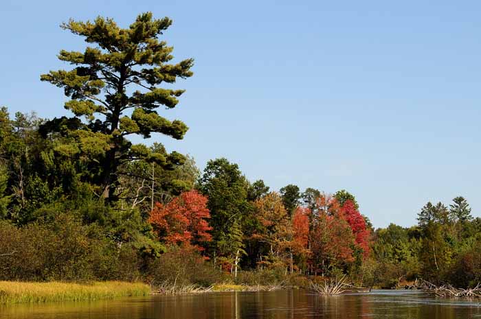 September on the Au Sable 54