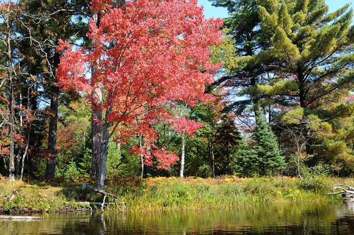 September on the Au Sable 56