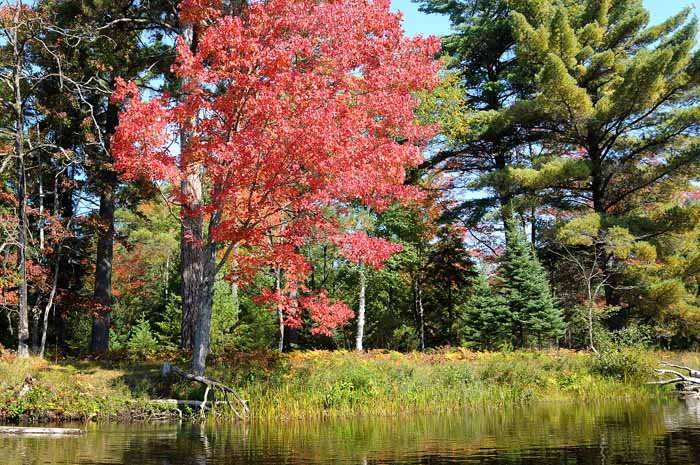 September on the Au Sable 56