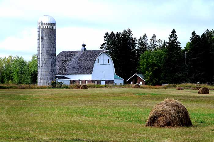 Wisconsin Farm