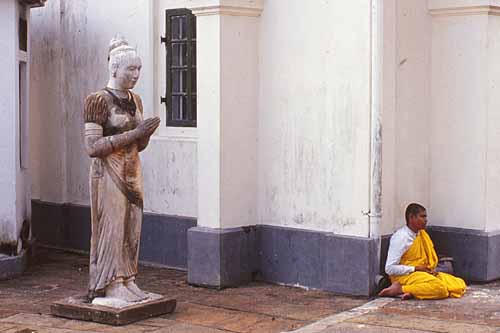 Sri Lankan Monk