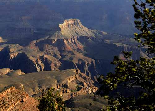 Grand Canyon National Park 11