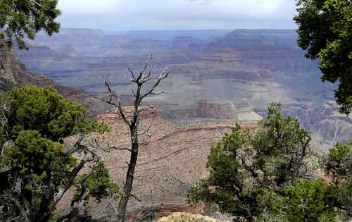 Grand Canyon National Park 24