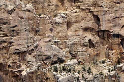Grand Canyon National Park 28