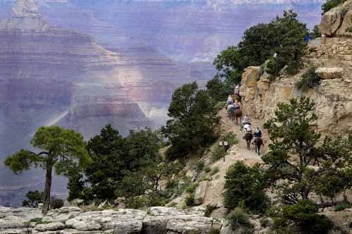 Grand Canyon National Park 36