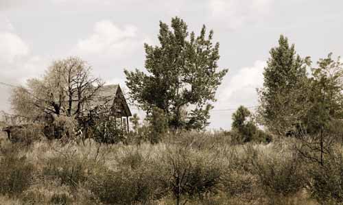 Owens Valley Homestead