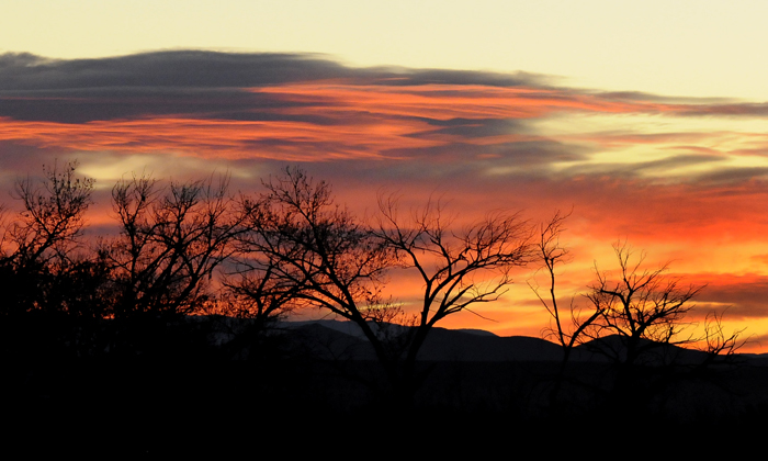 Sunrise Over the Rio Grande