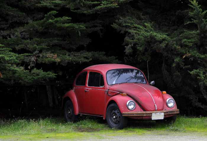 Pescaderos Red Bug