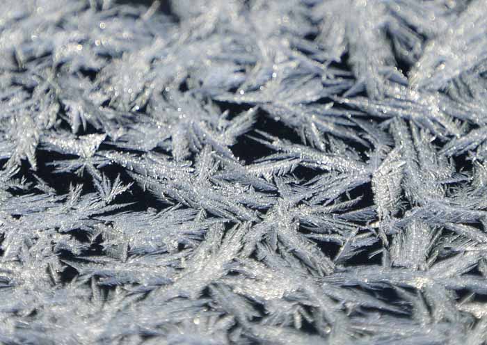 Ice Lace on Our Morning Window