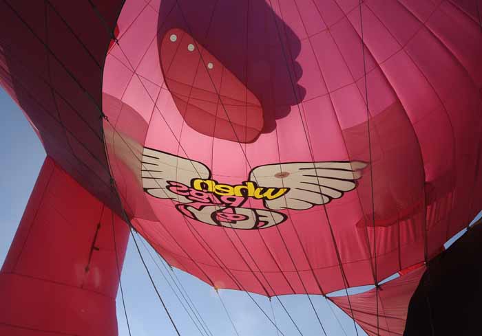 When Pigs Fly...