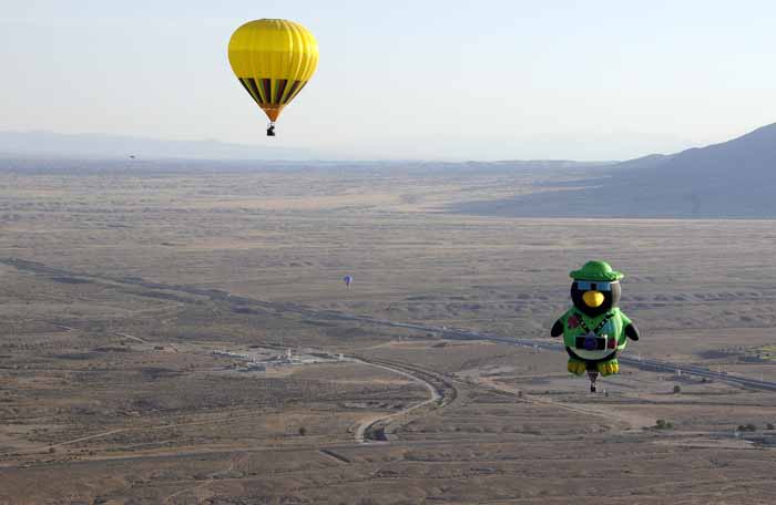When Pigs Fly...