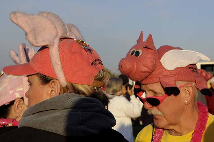 When Pigs Fly...