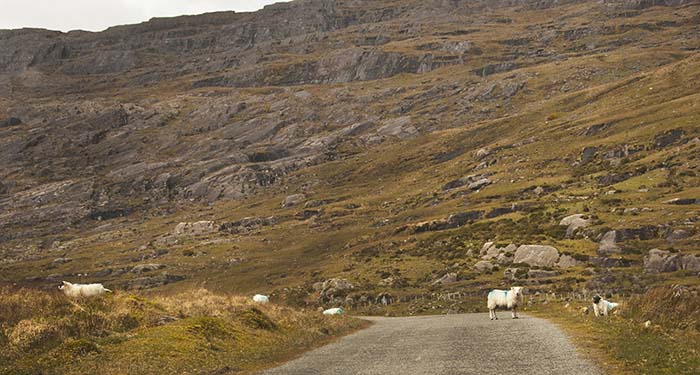 Healey Pass, County Kerry