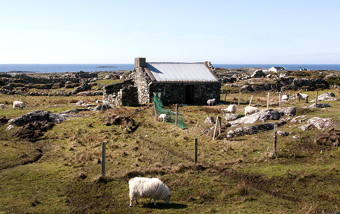 Coastal Scene, County Connemara