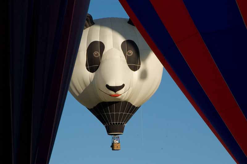  Hot Air Balloons!