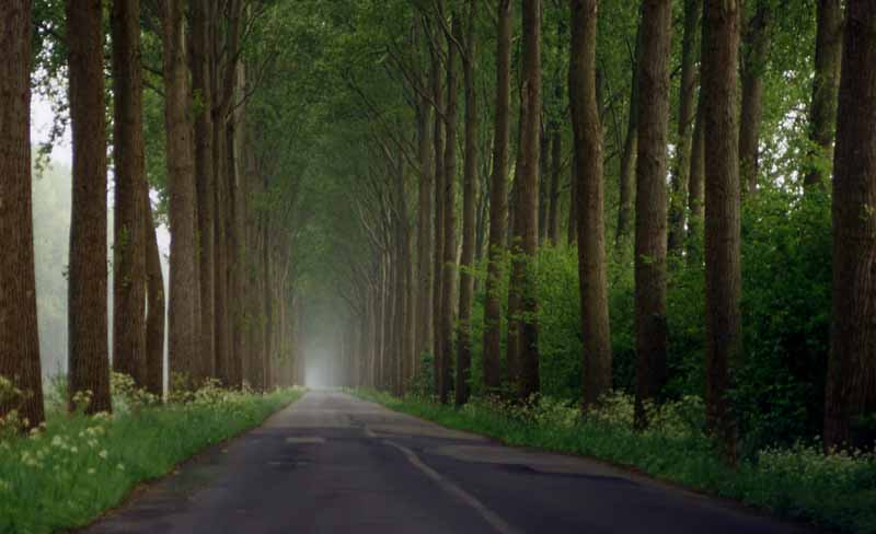 Country Road - Belgium
