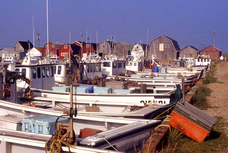 Harbor, Prince Edward Island