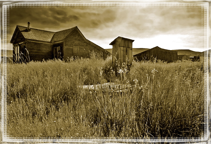 Bodie
