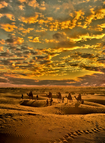 Sam Dunes India