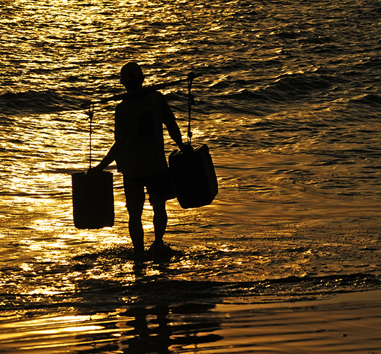 Fish Market Worker