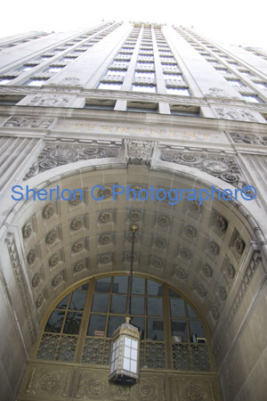 IMGP6922  sherloncrogers.com.jpg