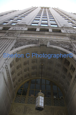 IMGP6925  sherloncrogers.com.jpg