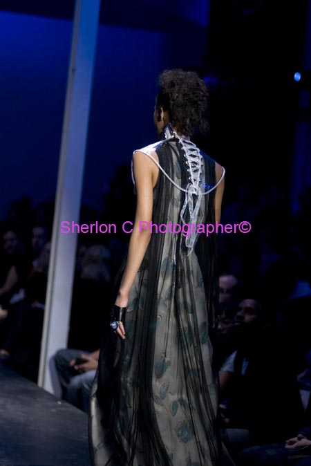 IMGP9399  Sherlon C Photographer.jpg