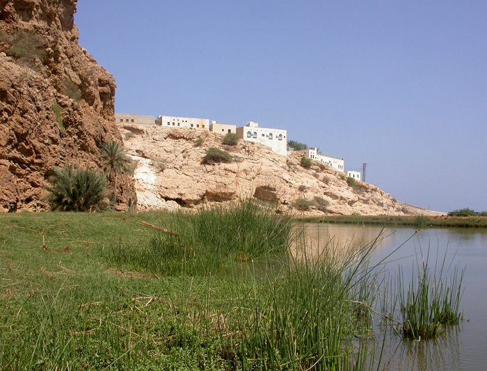 Tiwi