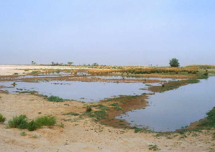 Oasen Muntasar
