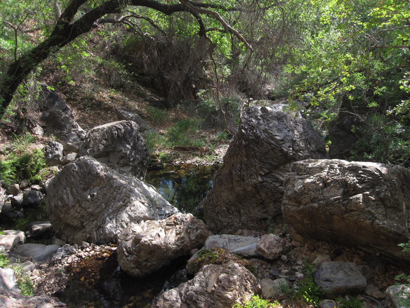 Cattail Falls_1786.JPG