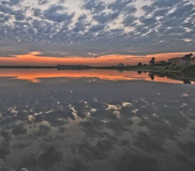 FLAMINGO VLEI REFLECTIONS.jpg
