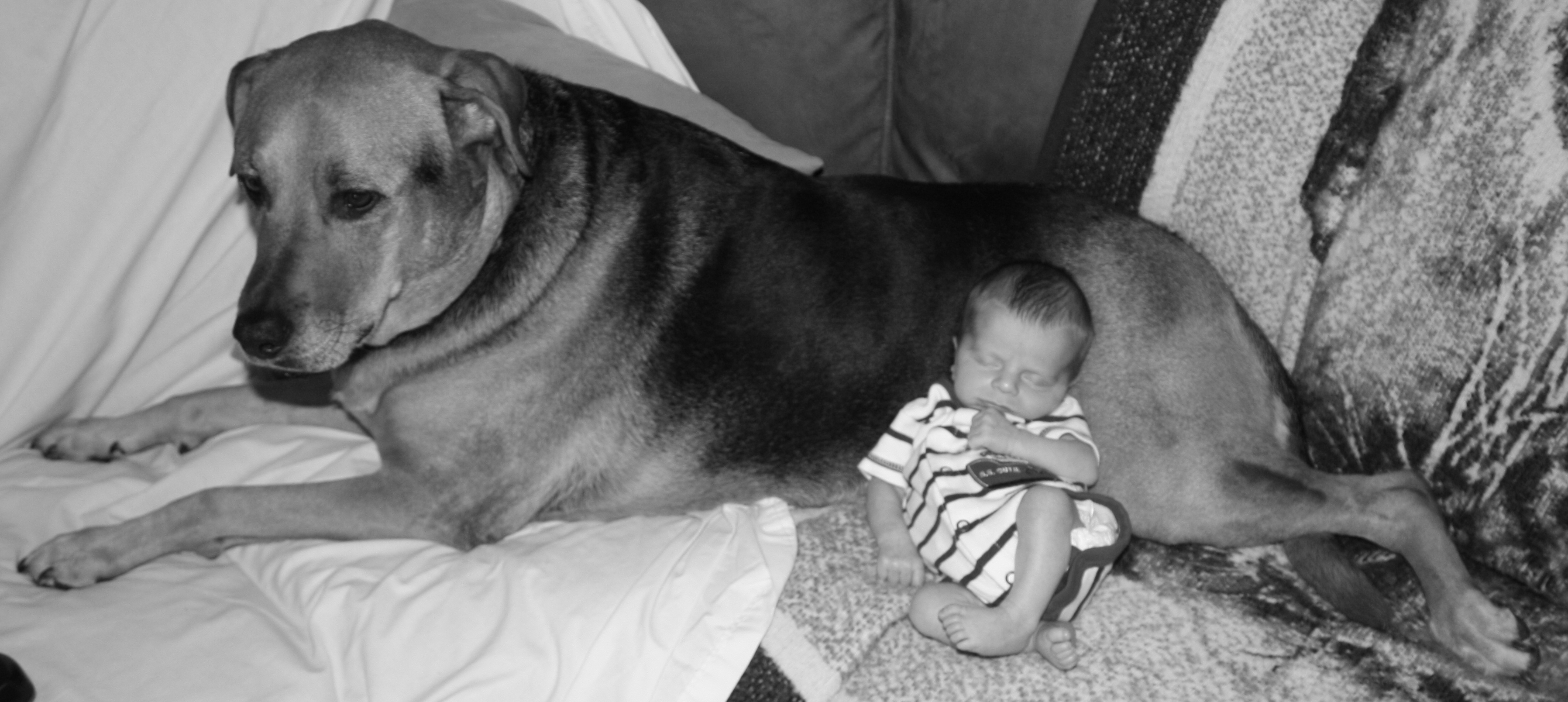 Aiden & Casey