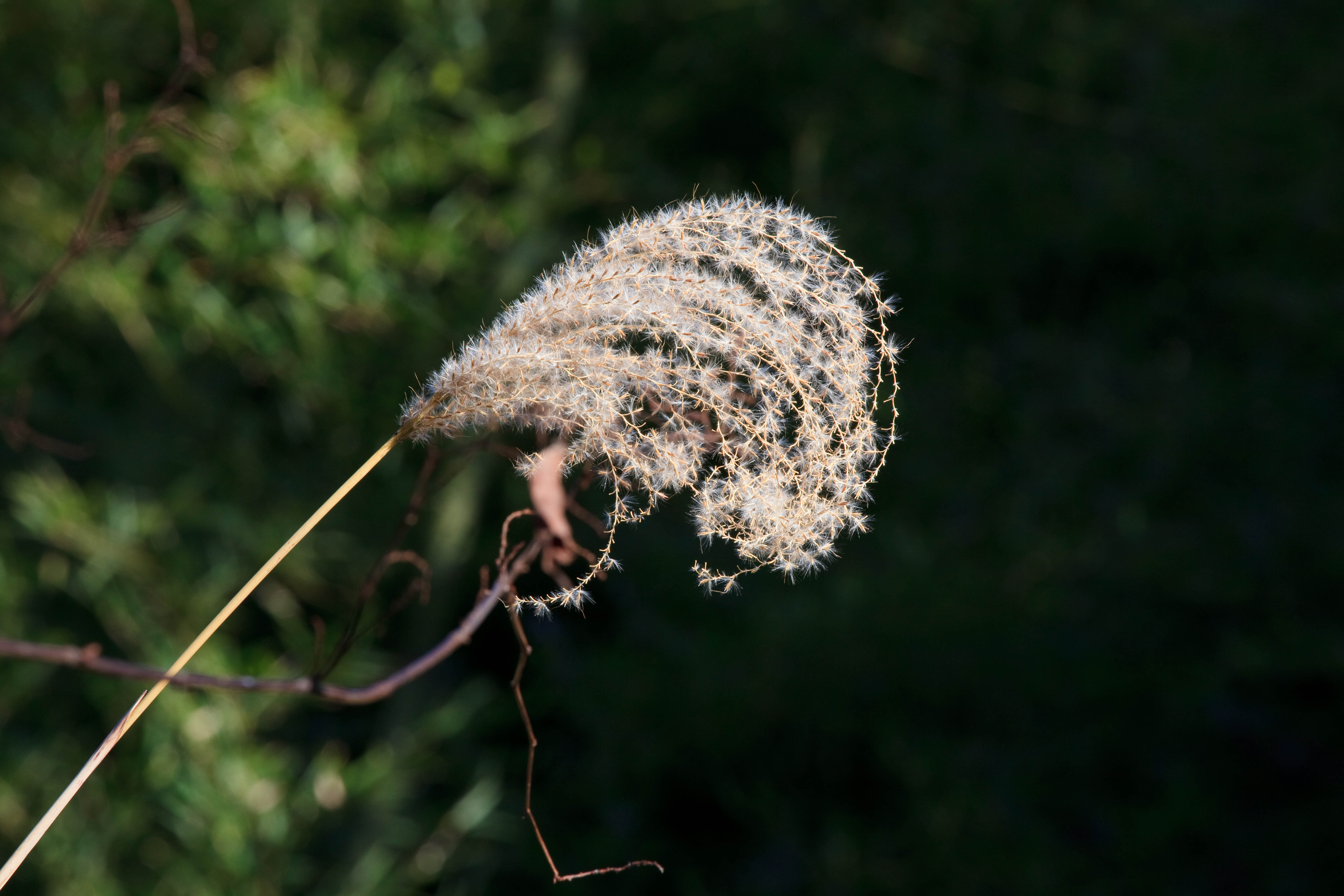 IMG_0507web.jpg