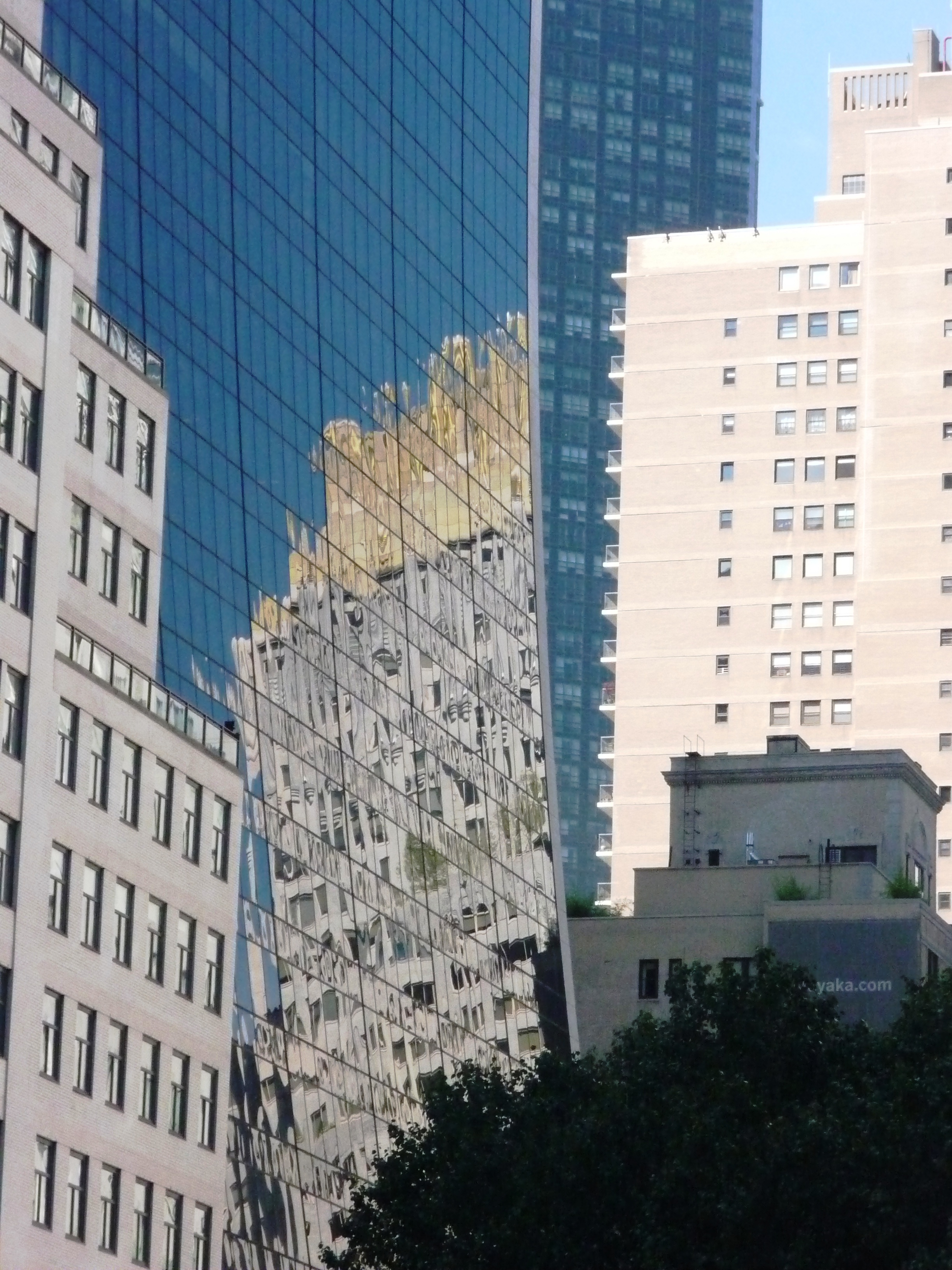 P1010726.JPG