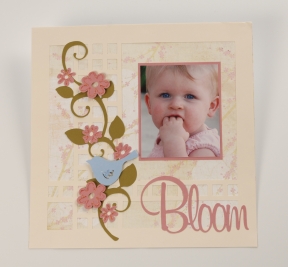 Bloom1.jpg