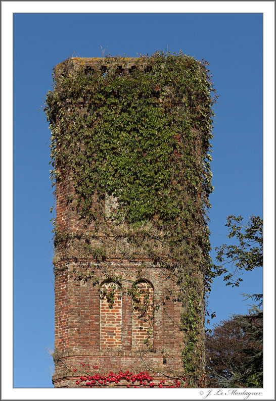 The tower