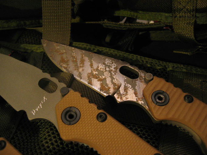 100_0011_1.JPG