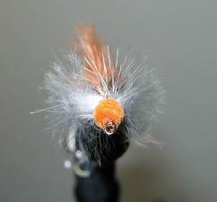 wooly sculpin 1sm.jpg