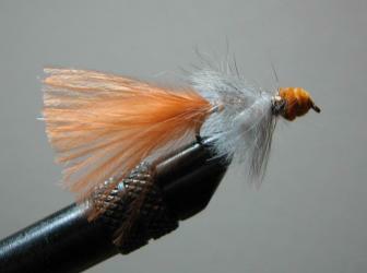 wooly sculpin 2sm.jpg