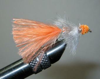 wooly sculpin 3sm.jpg