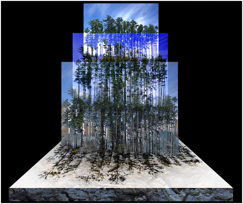 Suelyn Wong, Tower of Trees