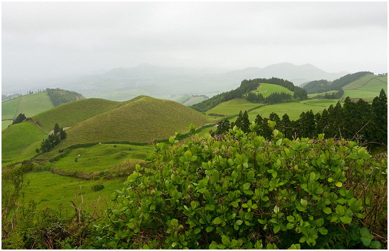 Stan Johnston, Green Hills of Earth