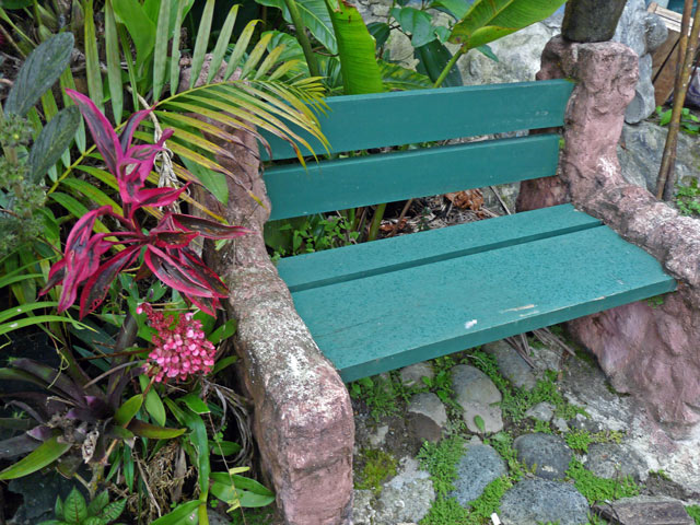 A bench in the garden