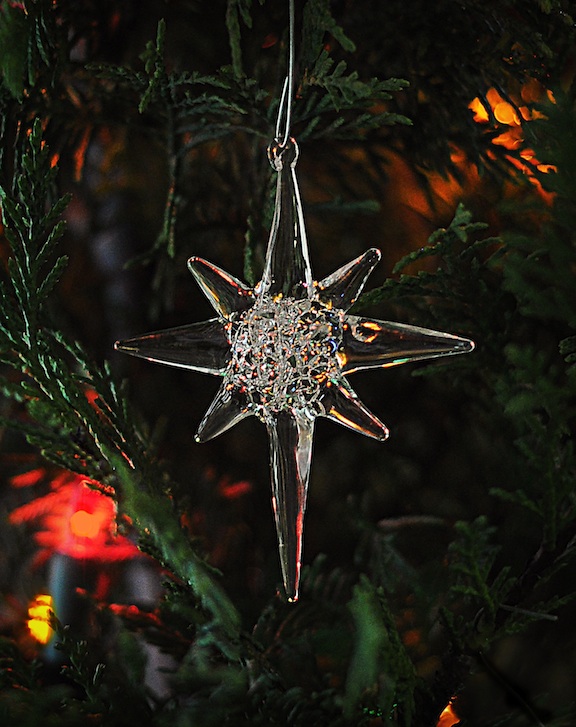 Christmas Tree Reflections